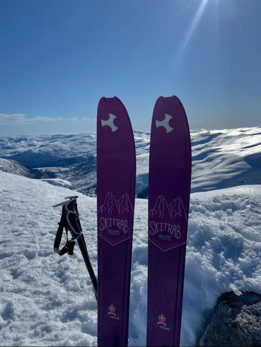 Hébergement de vacances Chaletmons, Stor Trivelig I Myrkdalen